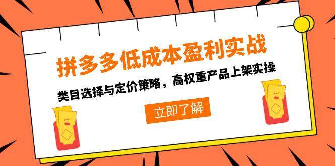 （15143期）拼多多低成本盈利实战，类目选择与定价策略，高权重产品上架实操-大熊网创
