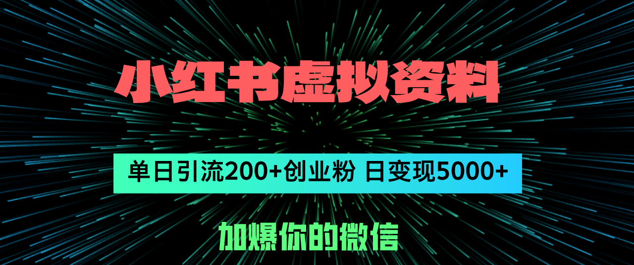 （12164期）小红书虚拟资料日引流200+创业粉，单日变现5000+-大熊网创