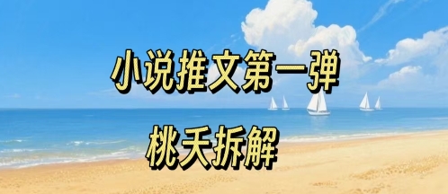 小说推文项目操作全流程第一弹，0粉就能做，门槛低非常适合新手-大熊网创