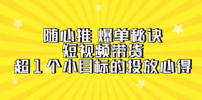 （9687期）随心推 爆单秘诀，短视频带货-超1个小目标的投放心得（7节视频课）-大熊网创