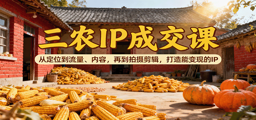 三农IP成交课：从定位到流量、内容，再到拍摄剪辑，打造能变现的IP-大熊网创