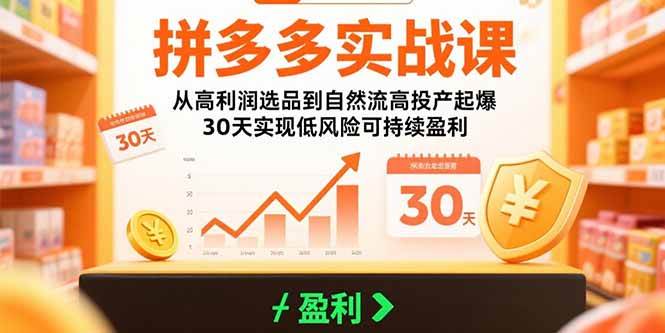 （15586期）拼多多实战课：从高利润选品到自然流高投产起爆 30天实现低风险可持续盈利-大熊网创