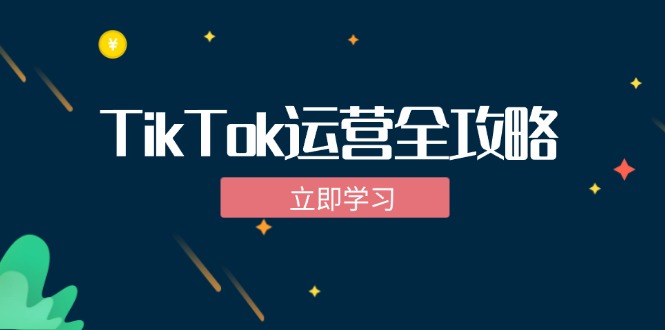 （12739期）TikTok实战运营全攻略：从下载软件到变现，抖音海外版实操教程-大熊网创