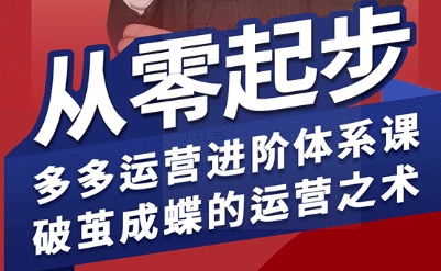 拼多多运营进阶系统课，从零起步，多多运营进阶体系课，破茧成蝶的运营之术(更新9月)-大熊网创