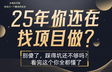 25年，你还在疯狂的找项目吗？别傻了，看完这个你都懂了【揭秘】-大熊网创