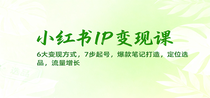 小红书IP变现课：6大变现方式，7步起号，爆款笔记打造，定位选品，流量增长-大熊网创
