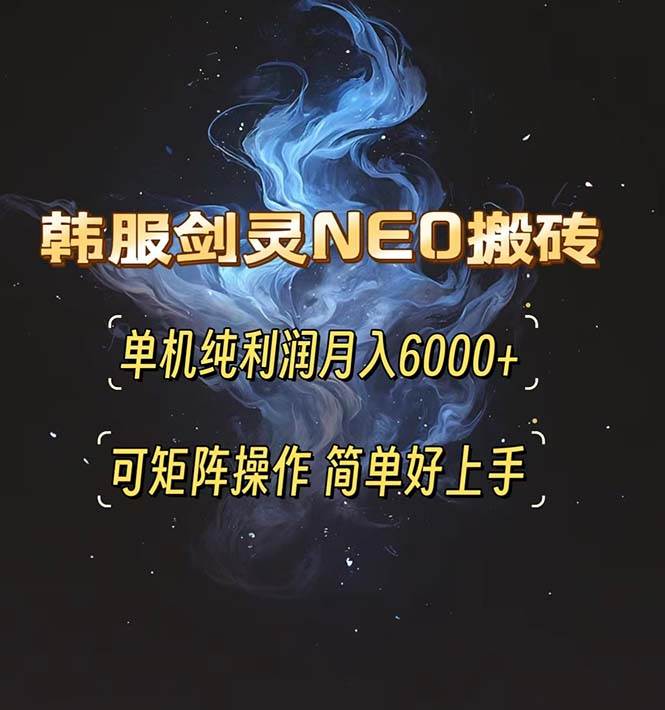 （13435期）韩服剑灵NEO搬砖攻略，单机纯利润月入6000+ 可矩阵操作，简单好上手。-大熊网创