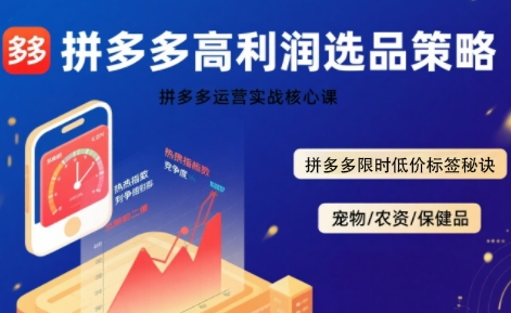 拼多多选品暴利技术实战课，拼多多高利润选品策略，拼多多限时低价标签秘诀-大熊网创