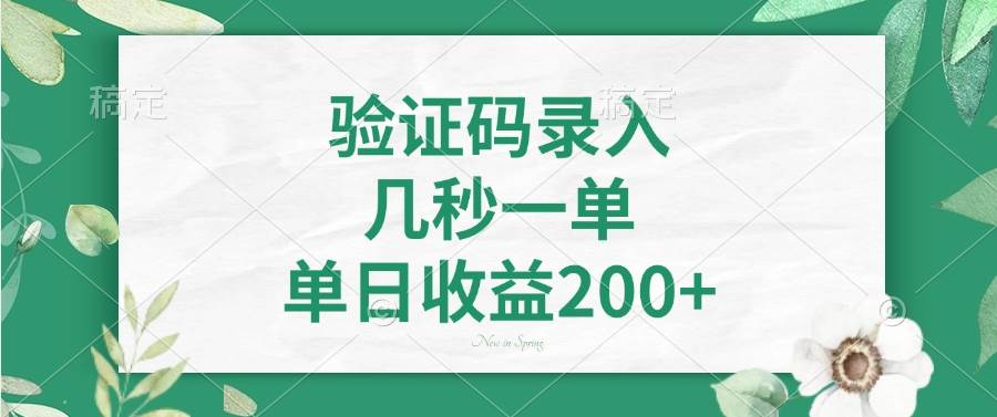 （14221期）验证码录入，几秒一单，单日收益200+-大熊网创