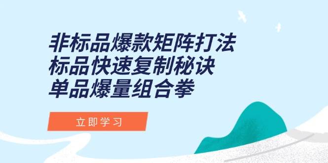 （15068期）非标品爆款矩阵打法，标品快速复制秘诀，单品爆量组合拳-大熊网创