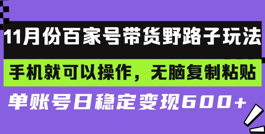 （13281期）百家号带货野路子玩法 手机就可以操作，无脑复制粘贴 单账号日稳定变现…-大熊网创