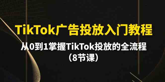 （10085期）TikTok广告投放入门教程，从0到1掌握TikTok投放的全流程（8节课）-大熊网创