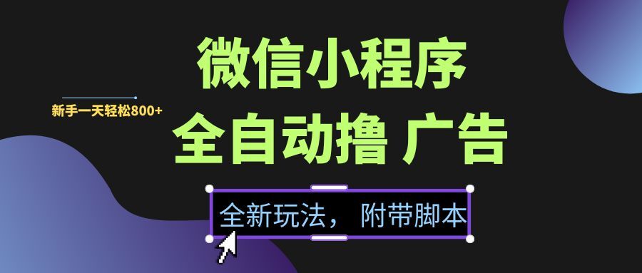（15134期）微信小程序挂机撸广告，全新玩法，新手一天轻松800+【附带脚本】-大熊网创