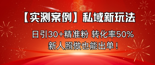 【实测案例】私域新玩法，日引30+精准粉，转化率50%，新人照做也能出单！-大熊网创