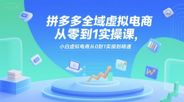 拼多多全域虚拟电商从零到1实操课，小白虚拟电商从0到1实操到精通-大熊网创