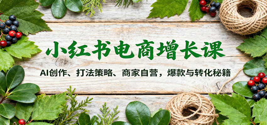 小红书电商增长课：AI创作、打法策略、商家自营，爆款与转化秘籍-大熊网创
