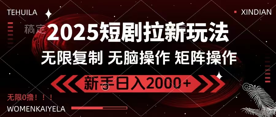 （14429期）2025短剧拉新玩法，无需注册登录，无限0撸，无脑批量操作日入2000+-大熊网创