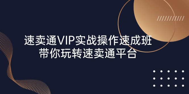 （10935期）速卖通 VIP实战操作-速成班，带你玩转速卖通平台（23节）-大熊网创