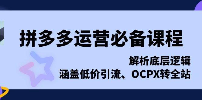 （13700期）拼多多运营必备课程，解析底层逻辑，涵盖低价引流、OCPX转全站-大熊网创