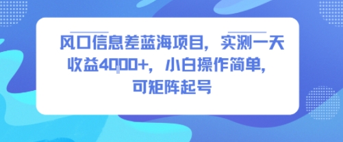 风口信息差蓝海项目，实测一天收益4k+，小白操作简单，可矩阵起号-大熊网创