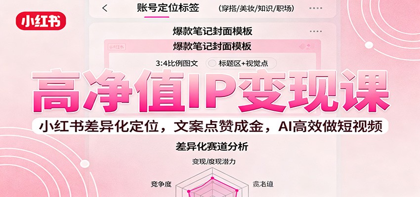 高净值IP变现课：小红书差异化定位，文案点赞成金， AI高效做短视频-大熊网创