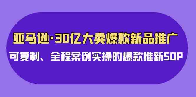 （9944期）亚马逊30亿·大卖爆款新品推广，可复制、全程案例实操的爆款推新SOP-大熊网创