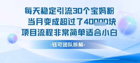每天稳定引流30个人 当月变成超过了4个W项目流程非常简单适合小白-大熊网创