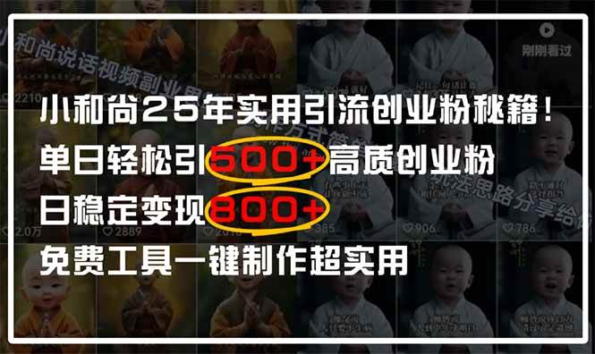 （14436期）小和尚2025年实用引流秘籍！单日轻松引500+高质量创业粉，日变现800+，…-大熊网创