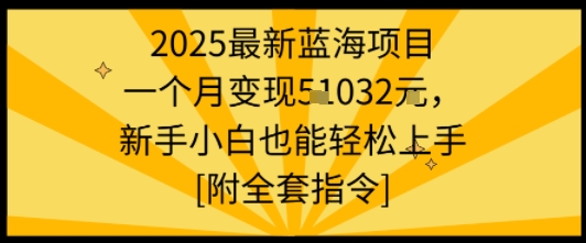 2025最新蓝海项目一个月变现1w+新手小白也能轻松上手【附全套指令】-大熊网创