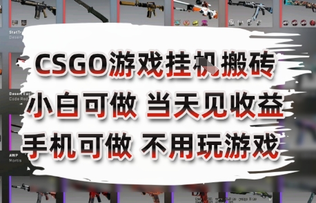 CSGO游戏挂G搬砖，小白纯手机即可操作，不用电脑打游戏，日入3张+，副业网创项目【揭秘】-大熊网创