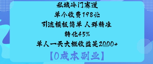 私域冷门赛道:单个收费198米引流模板简单人群精准转化45%单人一天大概收益是1k+-大熊网创