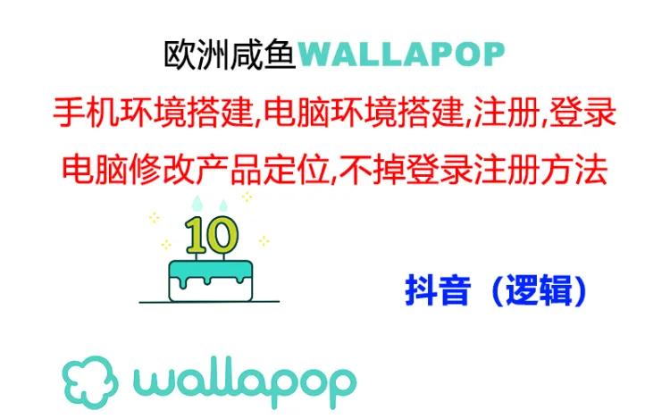 （11549期）wallapop整套详细闭环流程：最稳定封号率低的一个操作账号的办法-大熊网创