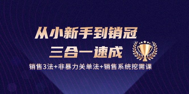 （10799期）从小新手到销冠 三合一速成：销售3法+非暴力关单法+销售系统挖需课 (27节)-大熊网创