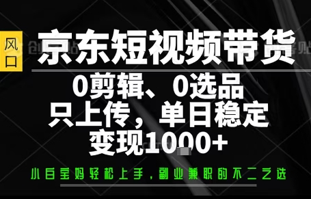 你出账号，我来运营，保底日入1k+，开启躺賺模式【揭秘】-大熊网创