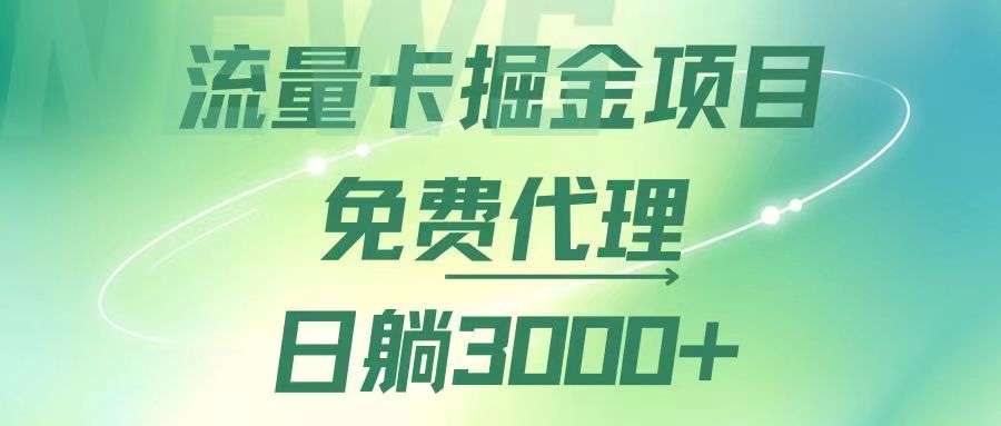 （12321期）流量卡掘金代理，日躺赚3000+，变现暴力，多种推广途径-大熊网创