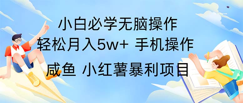 （11953期）2024热门暴利手机操作项目，简单无脑操作，每单利润最少500-大熊网创