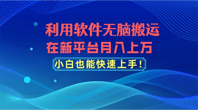 （11078期）利用软件无脑搬运，在新平台月入上万，小白也能快速上手-大熊网创