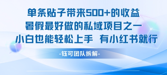 单条贴子带来5张的收益，暑假最好做的私域项目之一，小白也能轻松上手，有小红书就行-大熊网创
