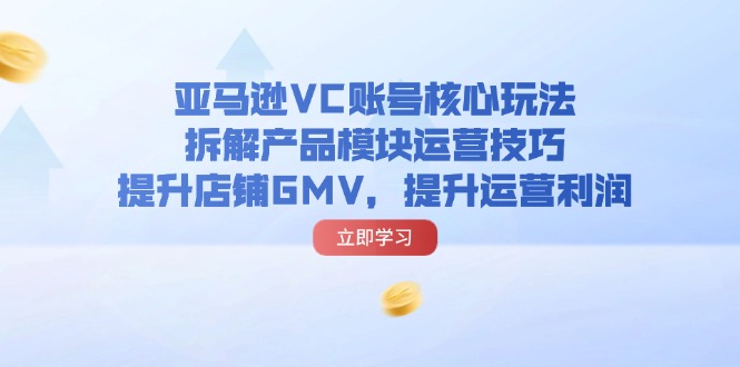 （11848期）亚马逊VC账号核心玩法，拆解产品模块运营技巧，提升店铺GMV，提升运营利润-大熊网创