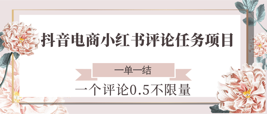 抖音电商小红书评论任务项目，一个评论0.5，一单一结 不限量-大熊网创