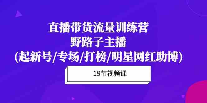 （10016期）直播带货流量特训营，野路子主播(起新号/专场/打榜/明星网红助博)19节课-大熊网创