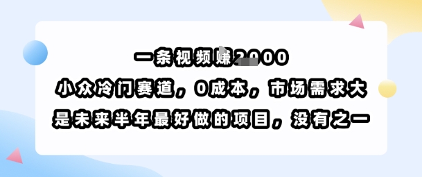 一条视频挣1k，小众冷门赛道，0成本，市场需求大，是未来半年最好做的项目，没有之一-大熊网创