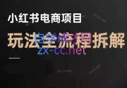 菲菲老师·小红书电商玩法(更新9月)-大熊网创