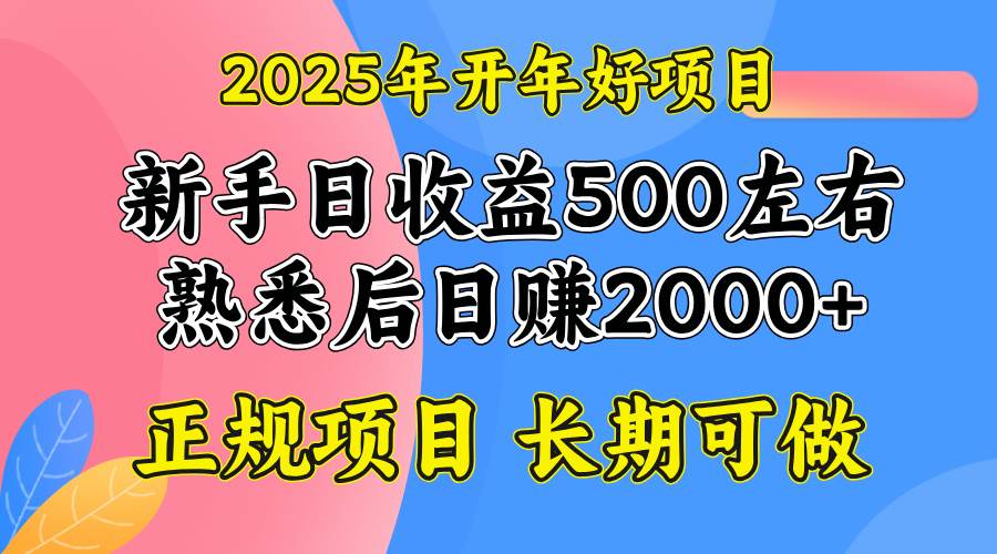 （14076期）2025开年好项目，单号日收益2000左右-大熊网创