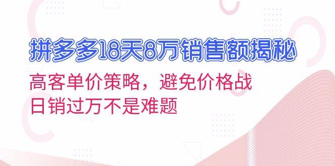 （13383期）拼多多18天8万销售额揭秘：高客单价策略，避免价格战，日销过万不是难题-大熊网创