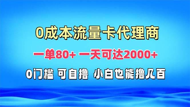 （13391期）免费流量卡代理一单80+ 一天可达2000+-大熊网创