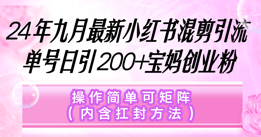 （12530期）小红书混剪引流，单号日引200+宝妈创业粉，操作简单可矩阵（内含扛封…-大熊网创