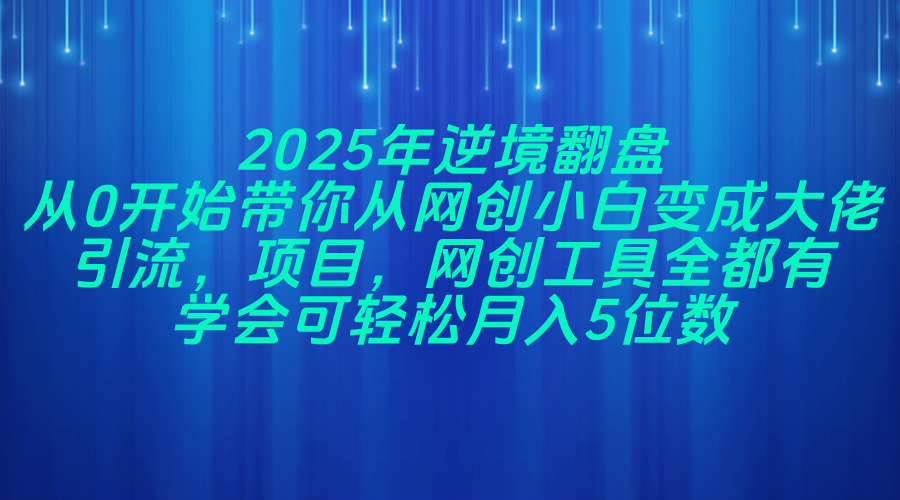（14473期）2025年逆境翻盘，从0开始带你从网创小白变成大佬，引流，项目，网创工…-大熊网创