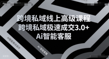 跨境私域线上高级课程，跨境私域极速成交3.0+Ai智能客服-大熊网创