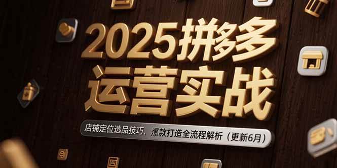 （15235期）2025拼多多运营实战：店铺定位选品技巧，爆款打造全流程解析（更新6月）-大熊网创